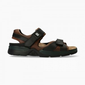 Sandale Mephisto Shark Fit Homme | LGF812645