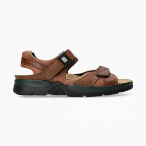 Sandale Mephisto Shark Fit Homme | LPU145803