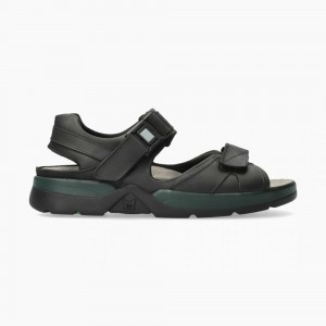 Sandale Mephisto Shark Fit Homme | PLR578921